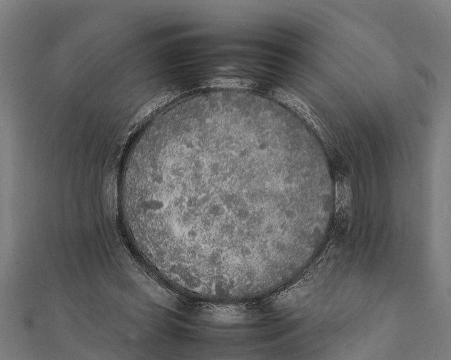 X0000111530349200908041309