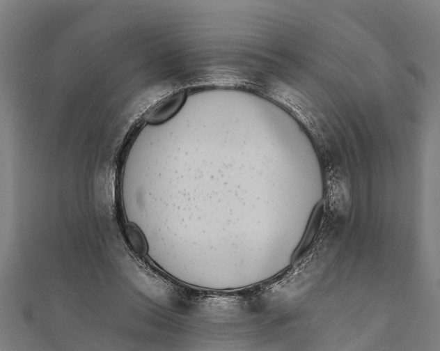 X0000111530350200908041309