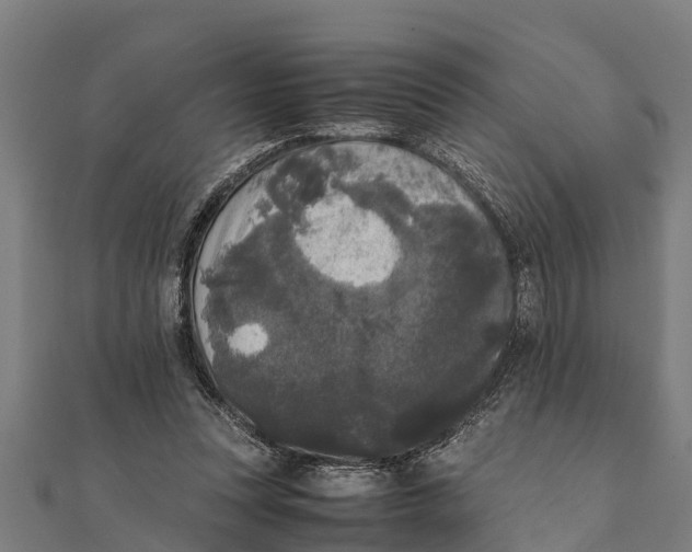 X0000111530351200908041309