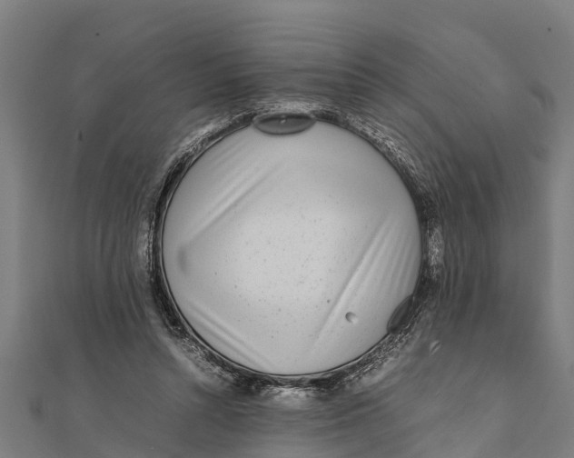 X0000111530352200908041309