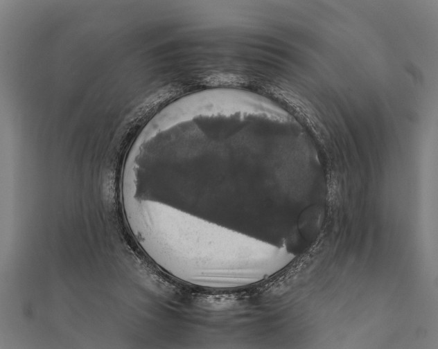 X0000111530353200908041309