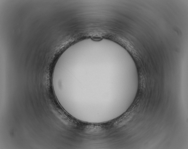 X0000111530354200908041309