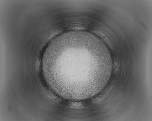 X0000111530355200908041309