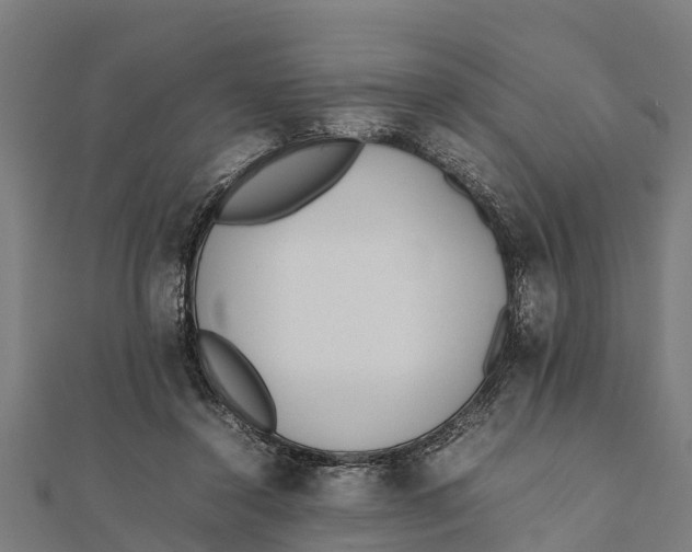 X0000111530356200908041309