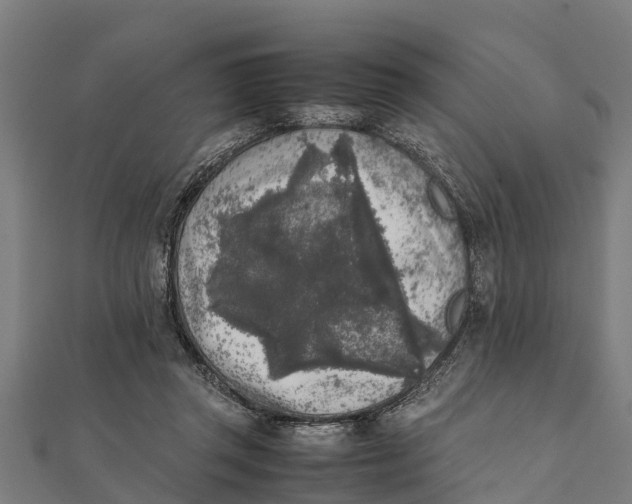 X0000111530357200908041309