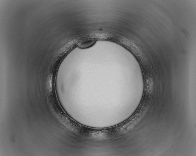 X0000111530358200908041309