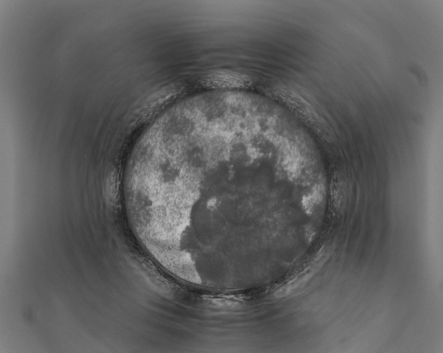 X0000111530359200908041309