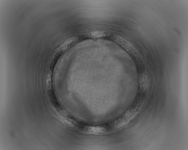 X0000111530360200908041309