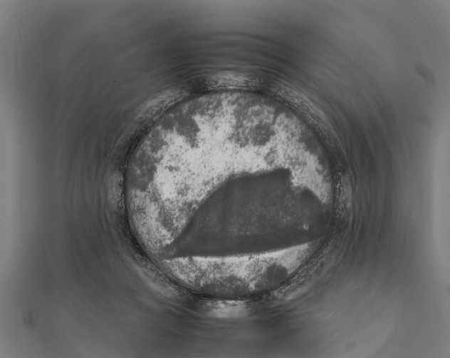 X0000111530361200908041309