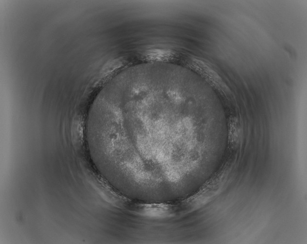 X0000111530363200908041309