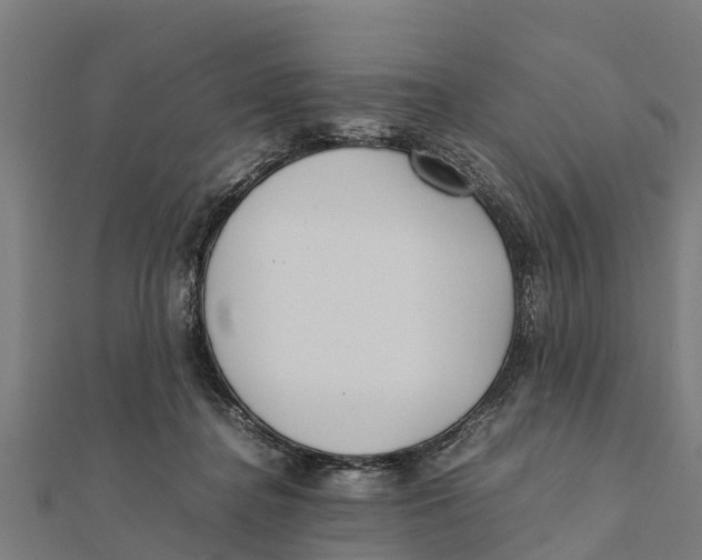 X0000111530364200908041309