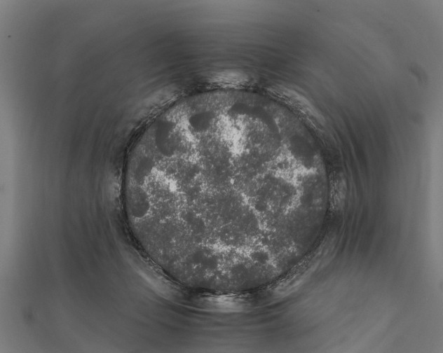 X0000111530365200908041309