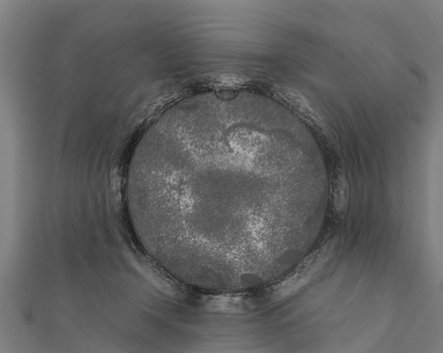 X0000111530366200908041309