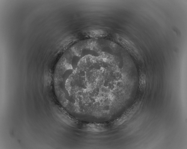 X0000111530367200908041309