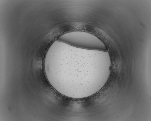 X0000111530368200908041309