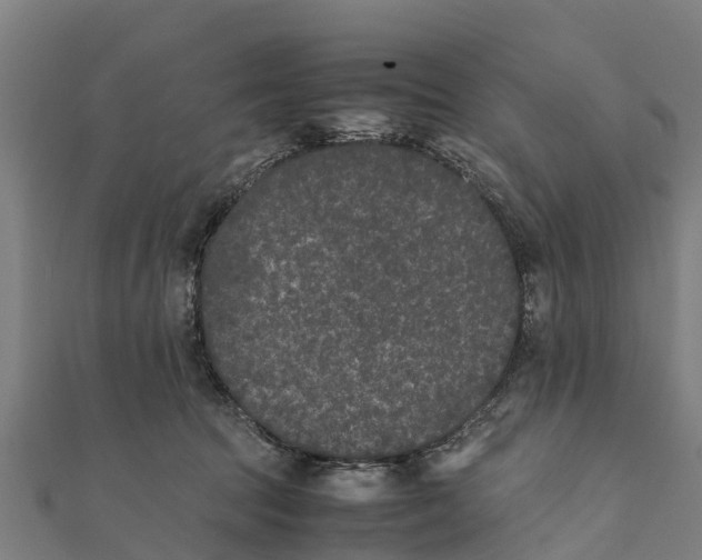 X0000111530369200908041309