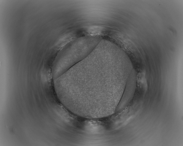 X0000111530372200908041309