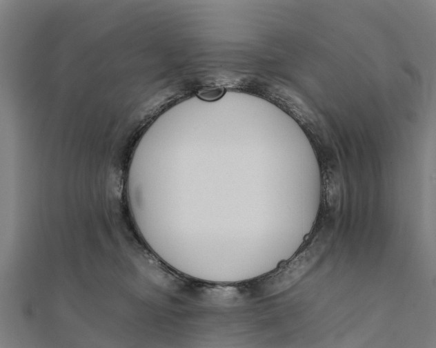 X0000111530374200908041309