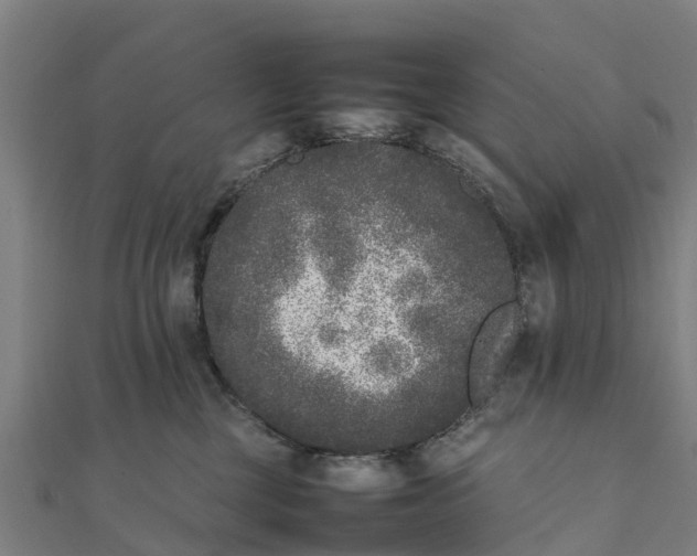 X0000111530377200908041309