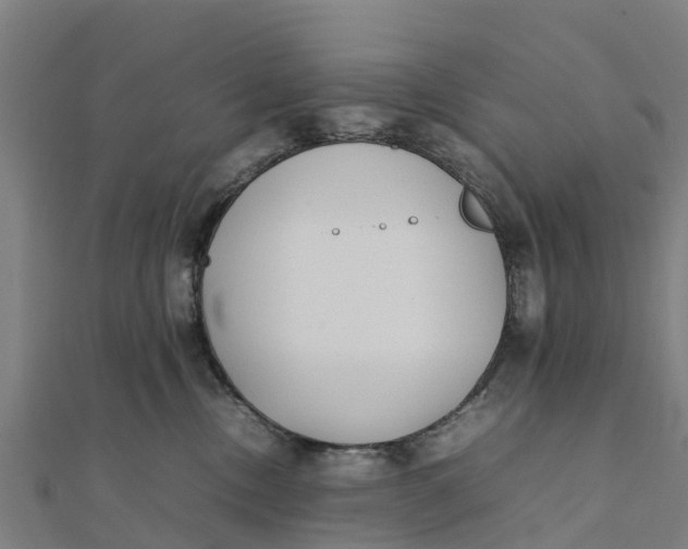 X0000111530378200908041309