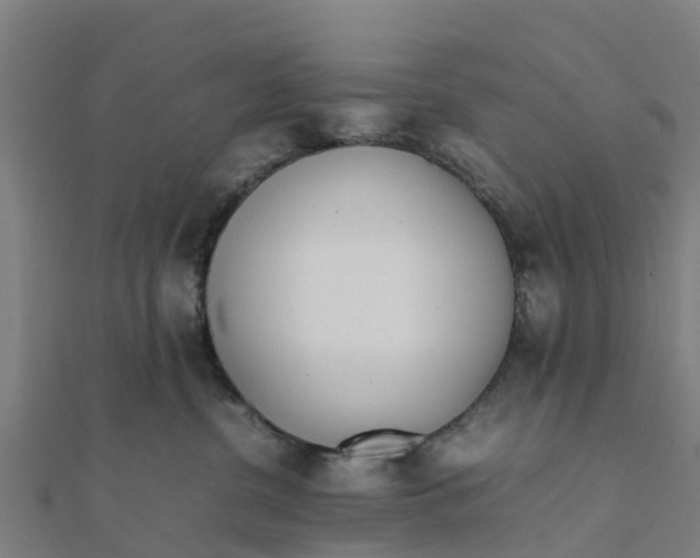 X0000111530380200908041309