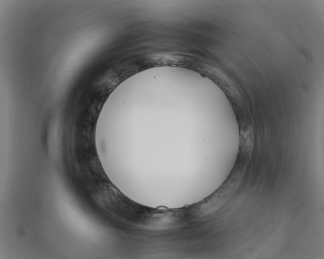 X0000111530381200908041309