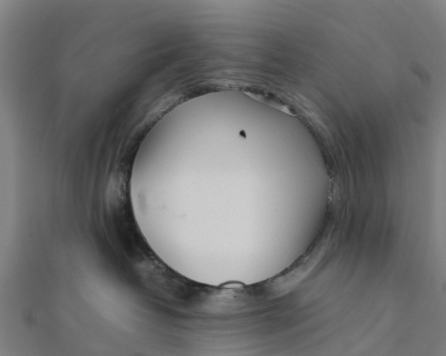 X0000111530382200908041309