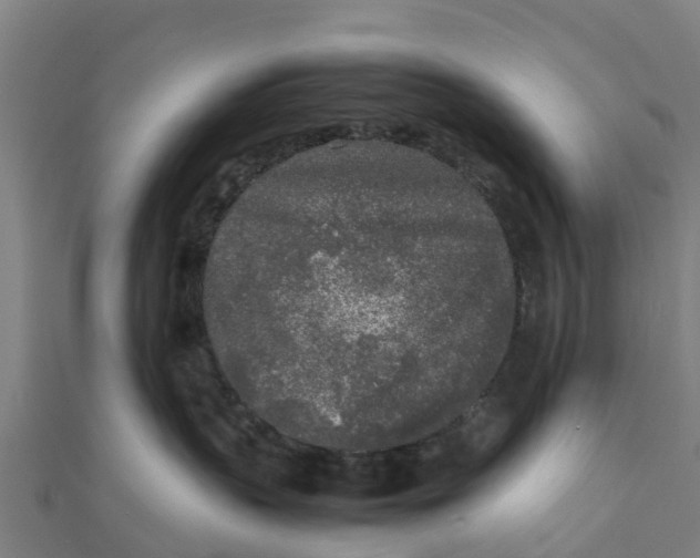 X0000111530383200908041309