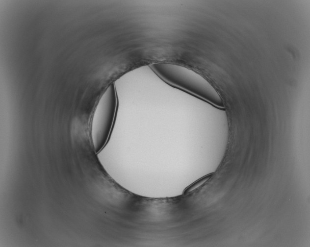 X0000111530384200908041310