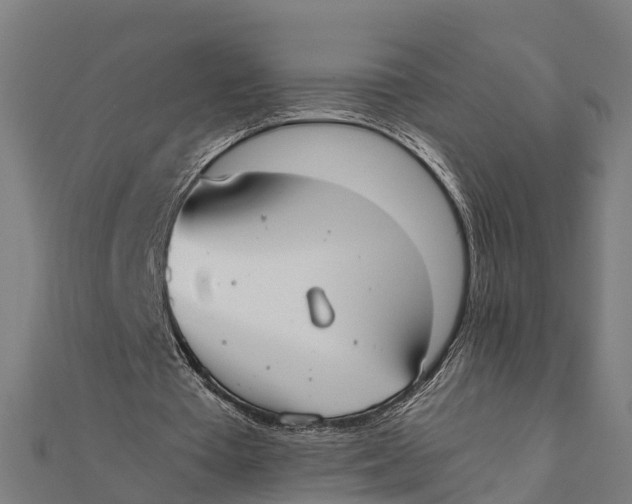 X0000111530385200908041309