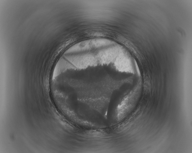 X0000111530386200908041309