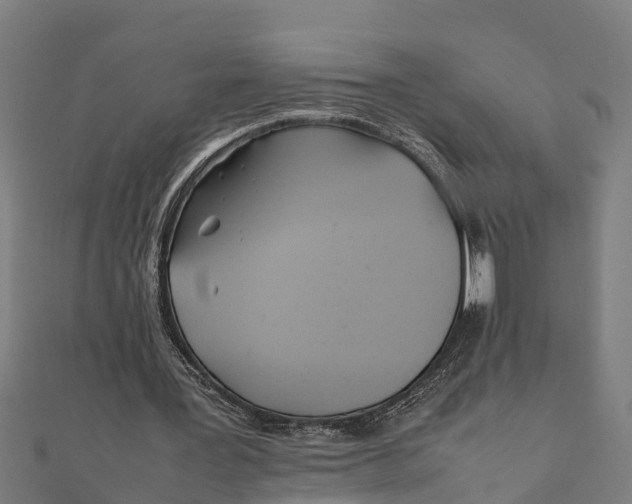 X0000111530387200908041309