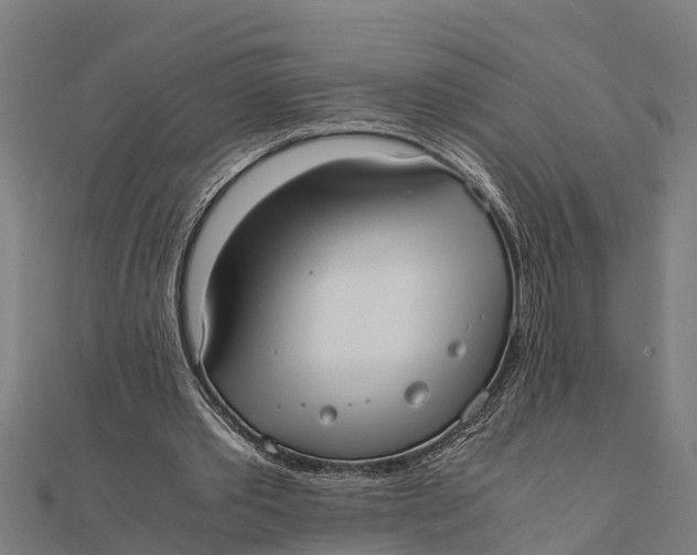 X0000111530389200908041309