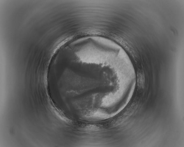 X0000111530390200908041309