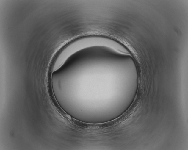 X0000111530391200908041309