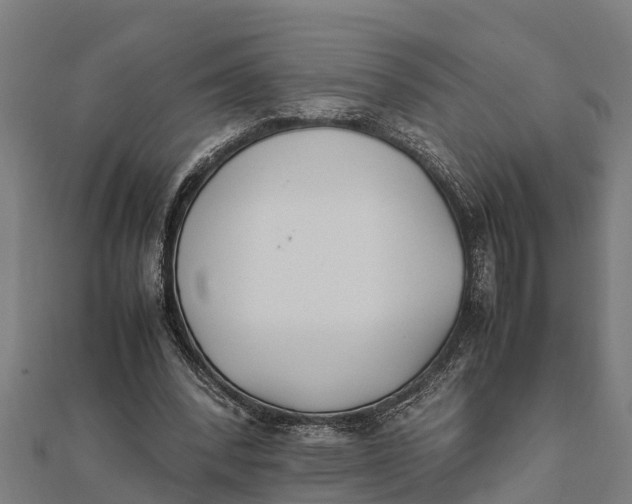 X0000111530392200908041309