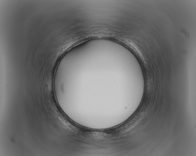 X0000111530393200908041309