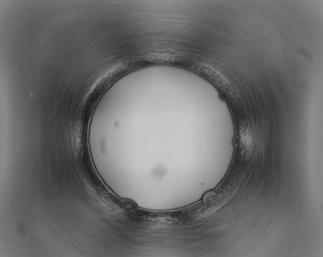 X0000111530396200908041309