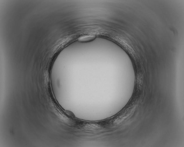 X0000111530397200908041309