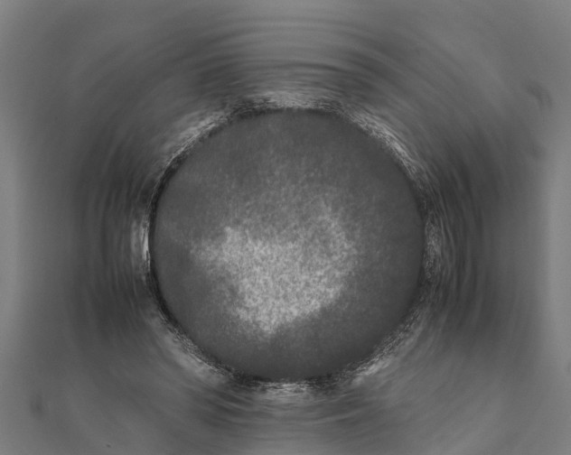 X0000111530398200908041309