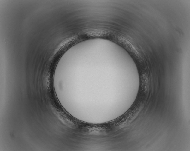 X0000111530400200908041309