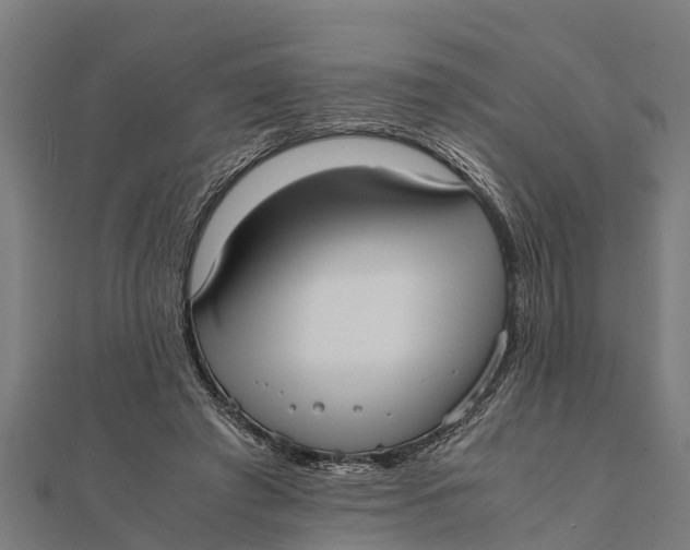 X0000111530401200908041309