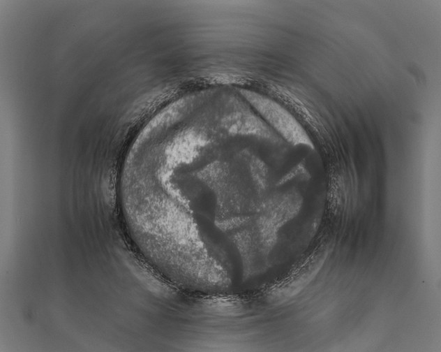 X0000111530402200908041309