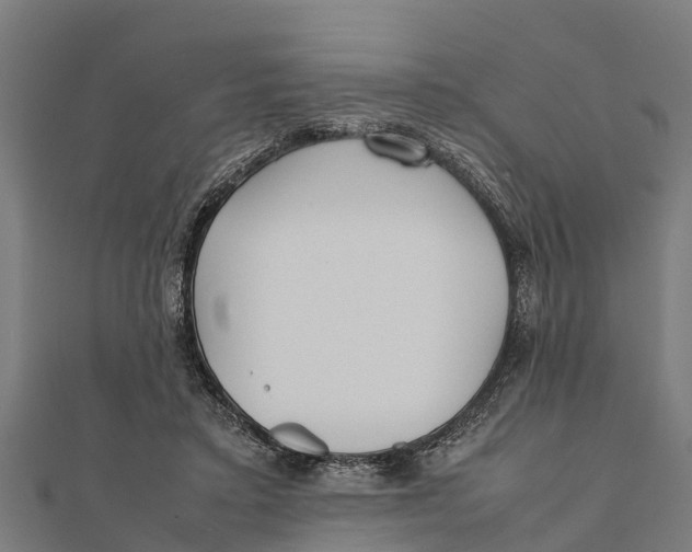 X0000111530403200908041309