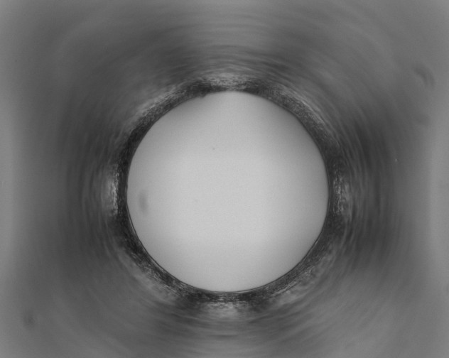 X0000111530404200908041309