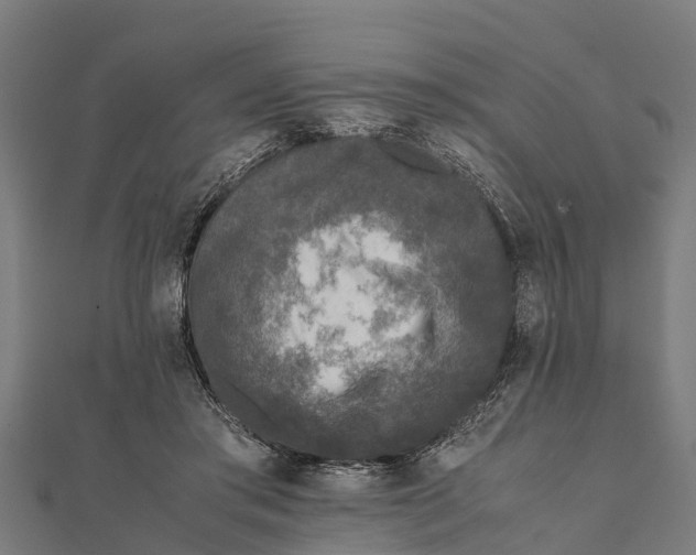 X0000111530405200908041309