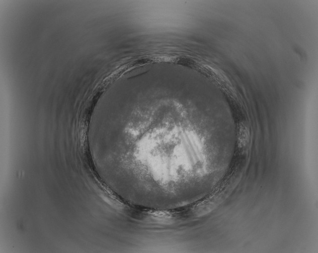 X0000111530409200908041309