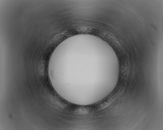 X0000111530416200908041308