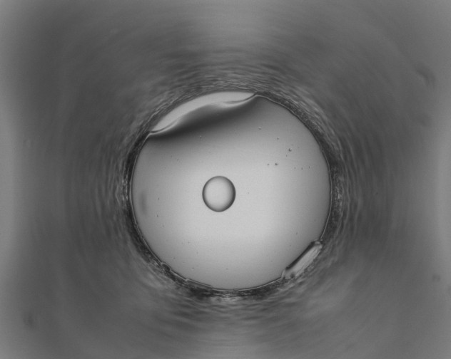 X0000111530419200908041308