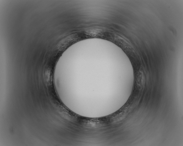 X0000111530420200908041308